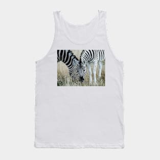 Grazing zebra on African plains Tank Top